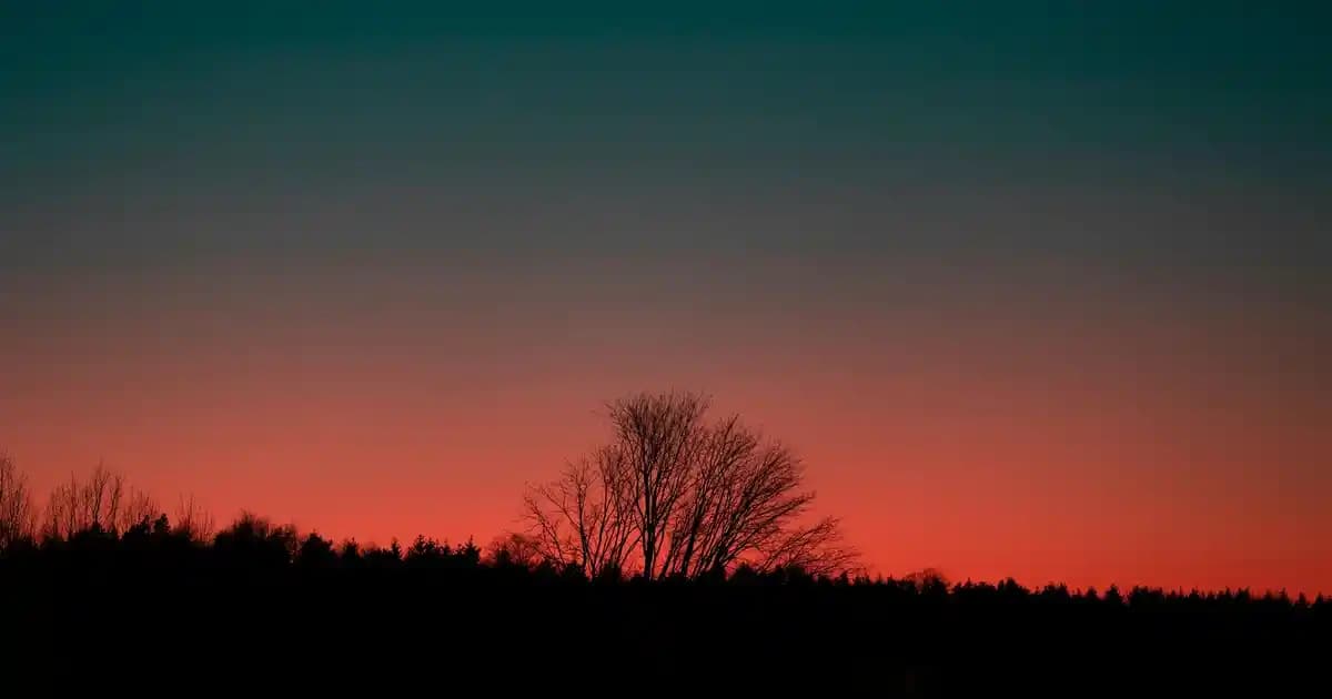 Ergonomik ve Süper Hafif Oyun Fareleri: Performans ve Konforu Artıran Tasarımlar