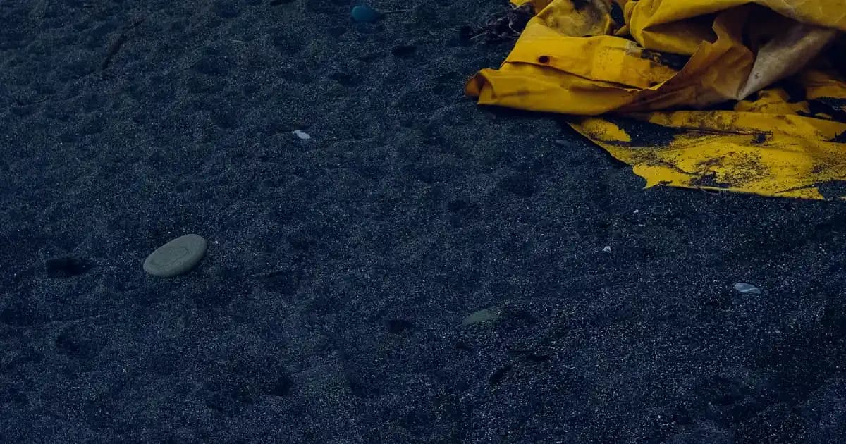 Ev İçin Sessiz ve Ayaklı Vantilatörler: Konfor ve Enerji Verimliliği Sağlayan Pratik Çözümler