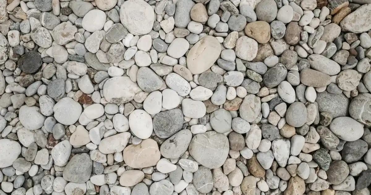 Ev Sinema Deneyimini Güçlendiren Teknik Özellikler ve Kullanım İpuçları