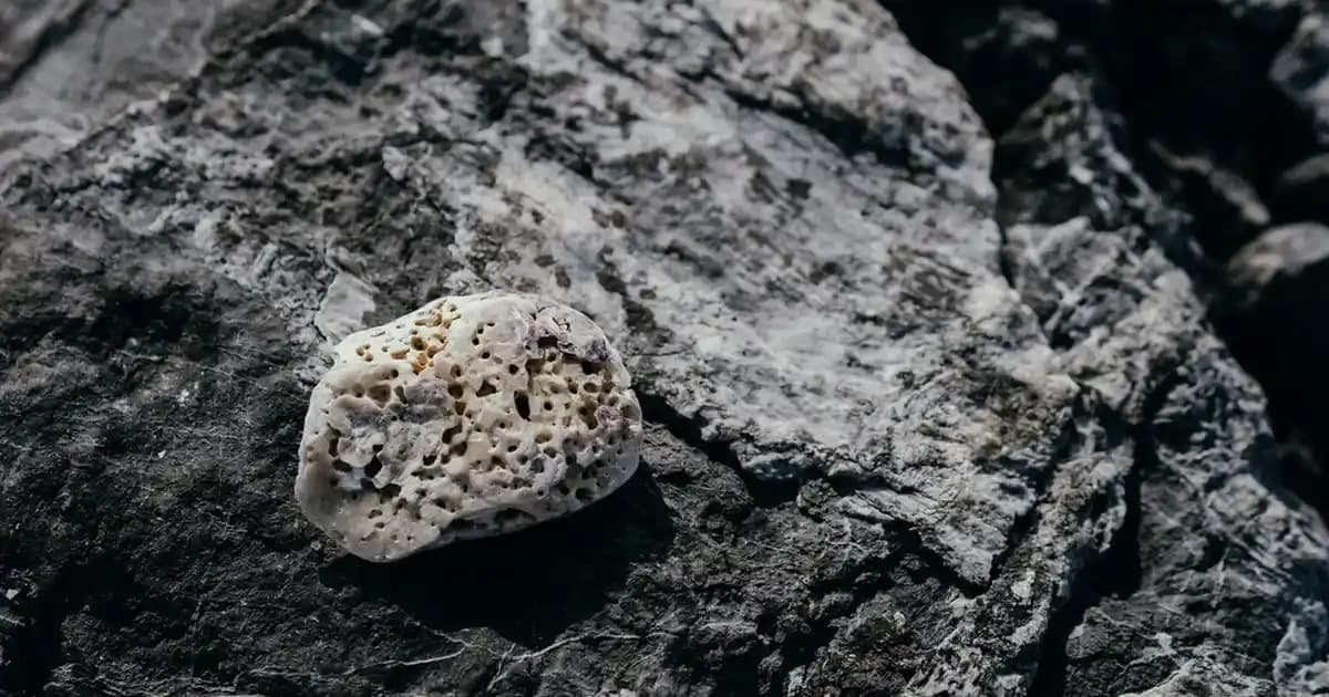 Güncel Piyasa Koşulları ve Uygun Fiyatlı Güçlü Akıllı Telefon Seçenekleri