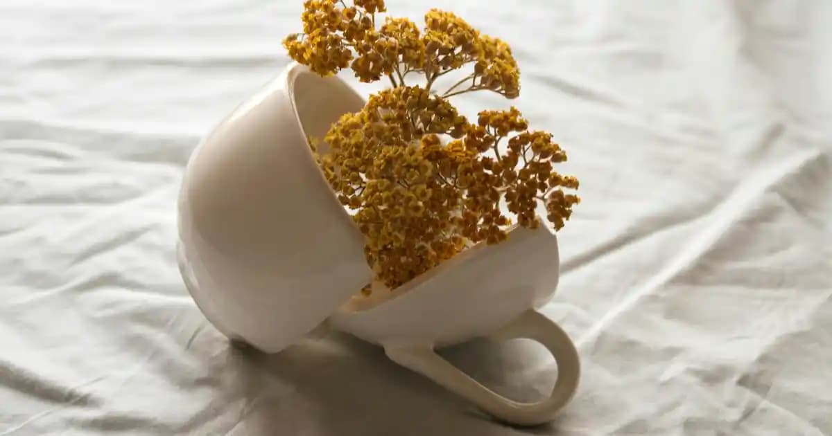 IBM Simon ve Akıllı Cihazların Evrimi: Teknolojide İlklerin ve Geleceğin İzinde