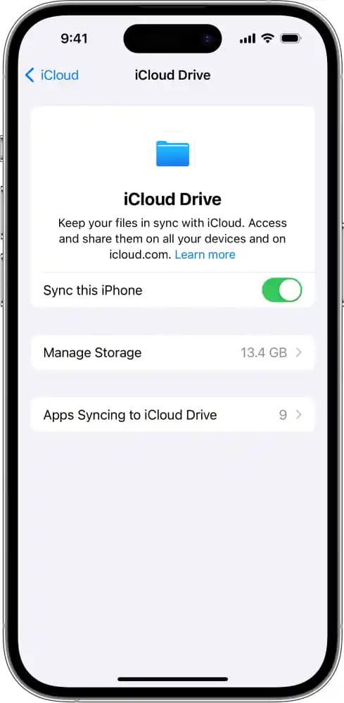 iCloud Kullanımı ve Elektronik Cihazlarda Pratik Veri Yönetimi Rehberi
