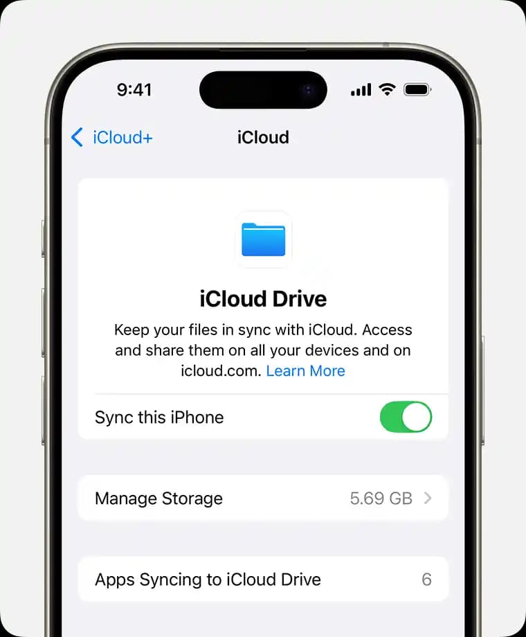iCloud ve Elektronik Kullanıcılar İçin Veri Güvenliği ve Erişim Yöntemleri