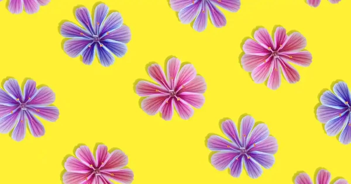 iPhone 12 Performans Analizi ve Teknik Özellikler Hakkında Güncel Bilgiler