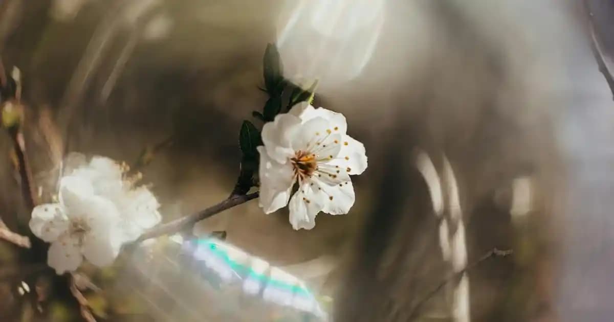 iPhone 15 Pil Kapasitesi ve Batarya Teknolojilerinde Güncel Yaklaşımlar