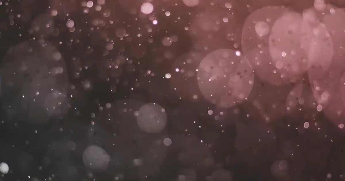 JBL 710 PartyBox: Güçlü ve Taşınabilir Etkinlikler İçin Ses Sistemi Özellikleri