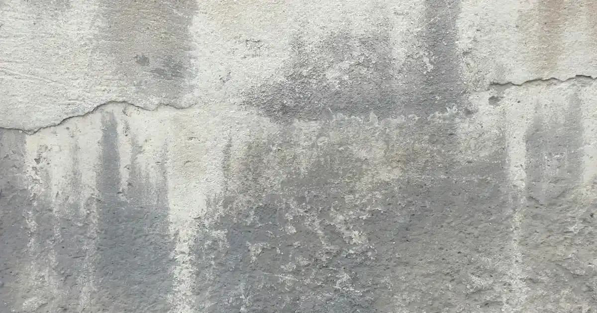 KT10A ve KT16A Nem Alma Cihazlarının Teknik Özellikleri ve Kullanım Alanları