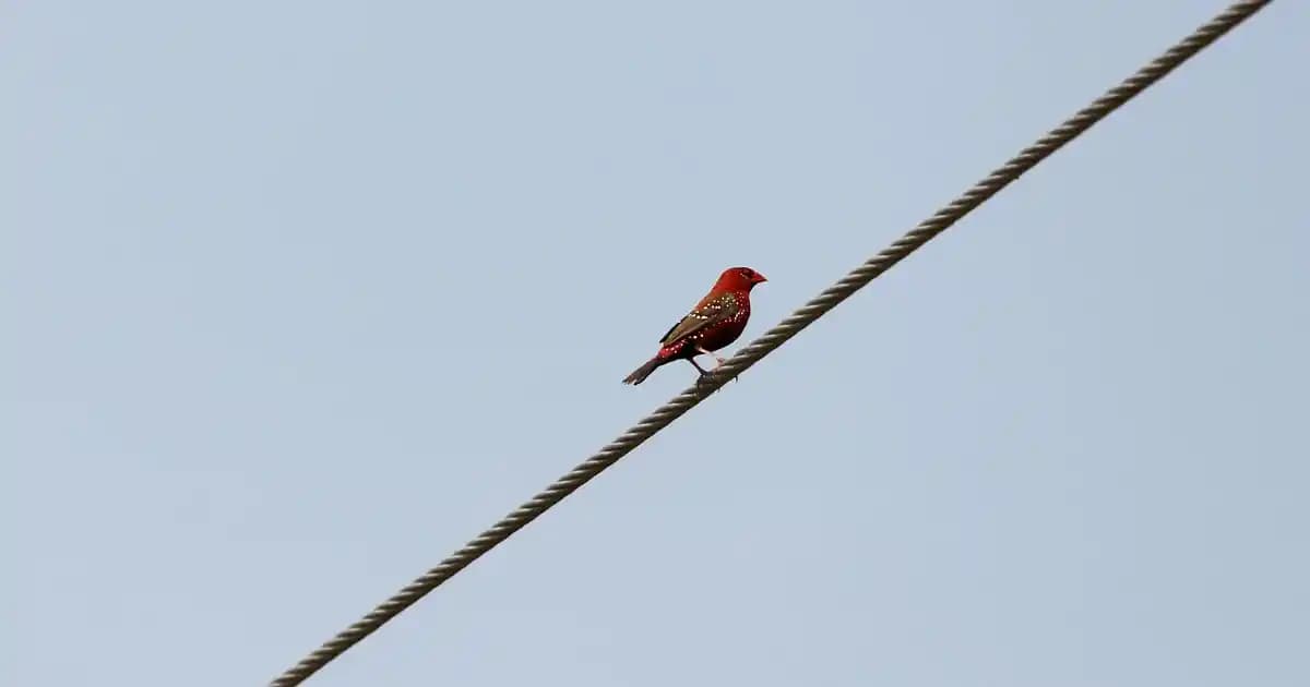 MatePad 11.5 PaperMatte Edition ile Göz Sağlığını Koruyan Yenilikçi Tablet Teknolojisi