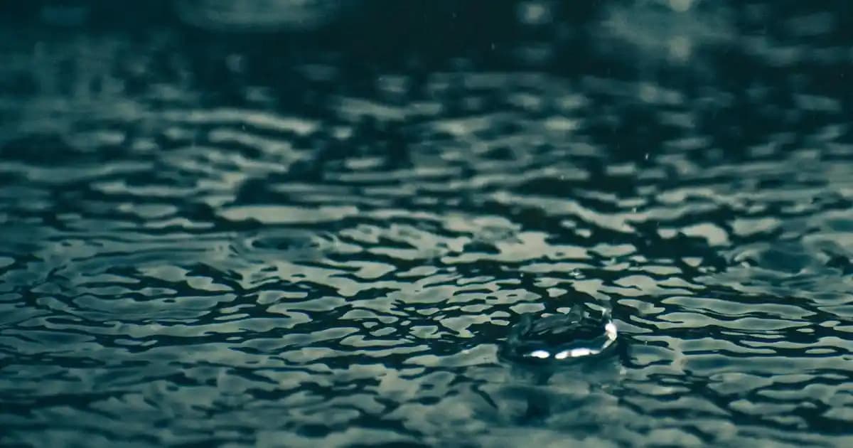 Medya Oynatıcıların Teknolojik Özellikleri ve Ev Eğlencesine Katkıları