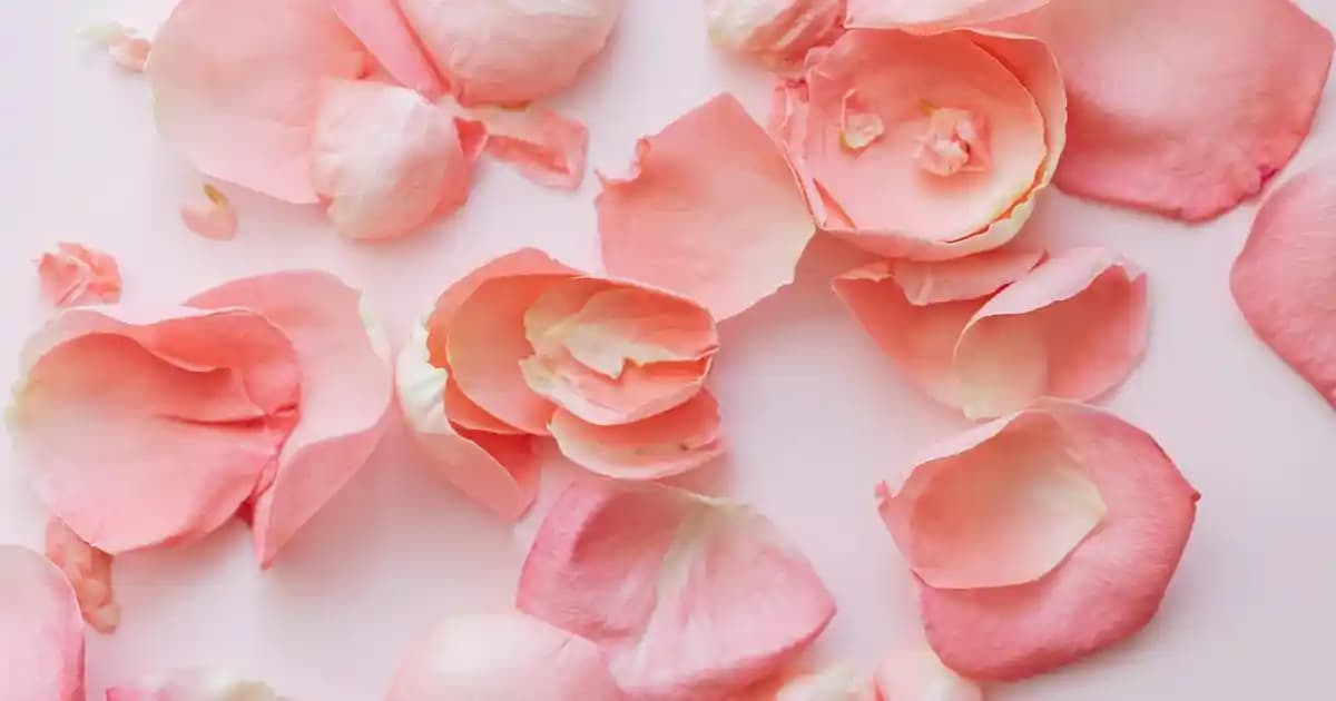 Modern Tasarım ve Dikey Süpürgeler: Ev Dekorasyonunda Yenilikçi Çözümler