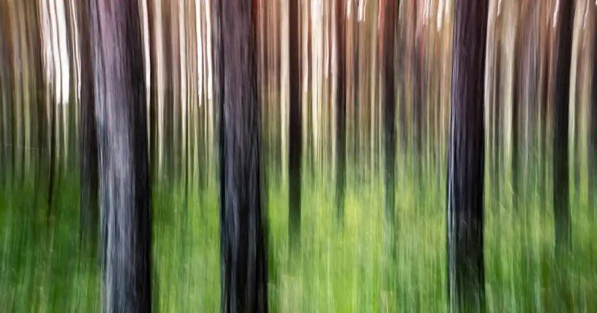 MP3 Ders ve Ses Kaydı Cihazlarının Özellikleri ve Kullanım Alanları