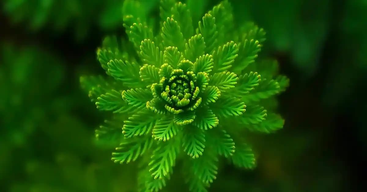 MSI B850 Tomahawk Max Anakartı: Yüksek Performans ve Güncel Teknolojilerle Uyumlu