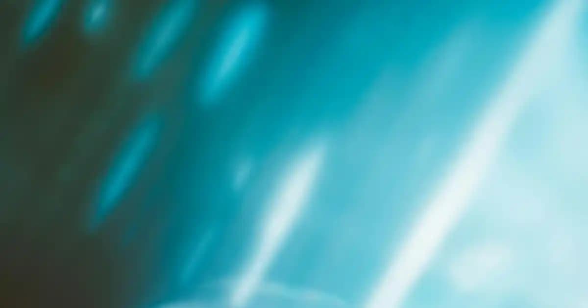 Oyuncular İçin Yüksek Performans Mouse Seçiminde Dikkat Edilmesi Gerekenler ve Güvenilirlik Faktörleri