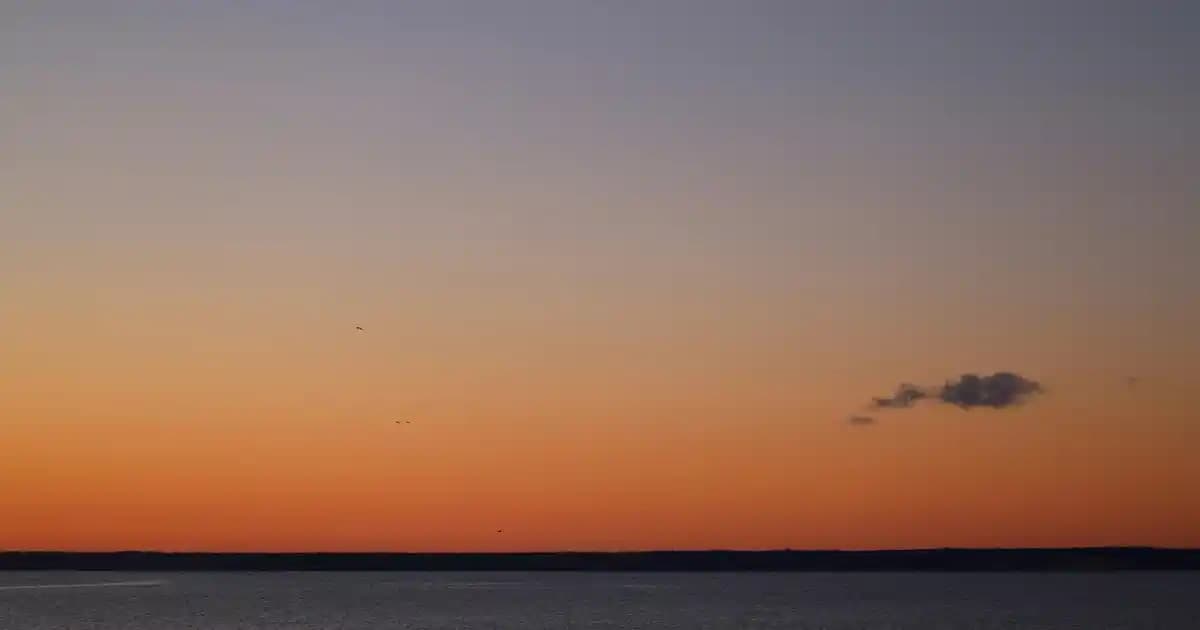 Pebble Akıllı Saat Modelleri Güncel Durum ve Teknik Özellikler Analizi