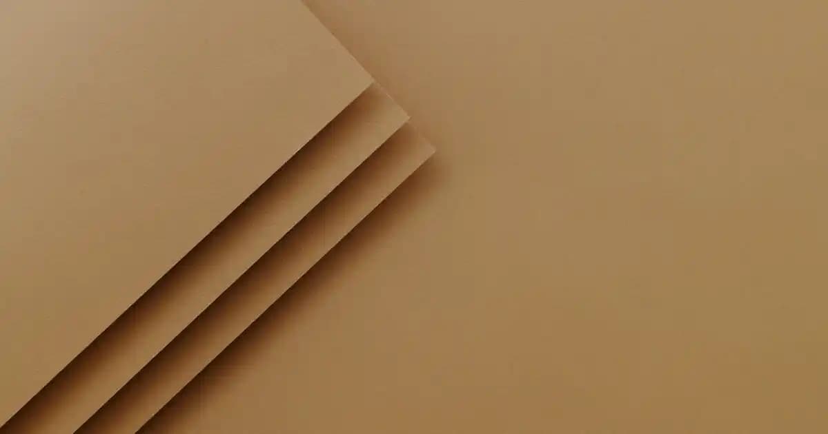 Philips 55PUS8009 ve 55PUS8909 Modelleri: Teknik Özellikler ve Kullanım Alanları