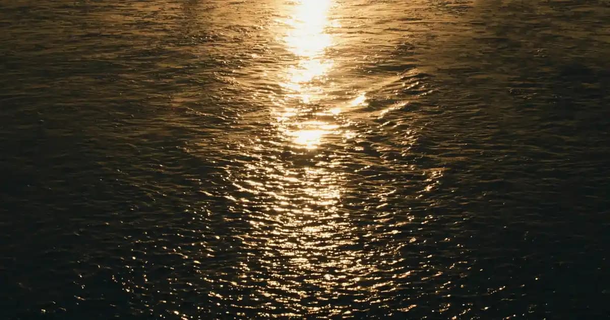 Philips FC9331 Elektrikli Süpürge: Güncel Temizlik Teknolojileri ve Özellikleri