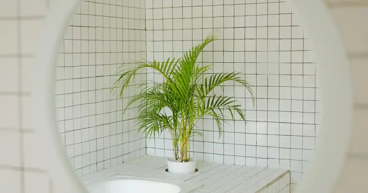 Redmi Pro Akıllı Telefon Piyasası ve Teknik Özellikler Üzerine Değerlendirme