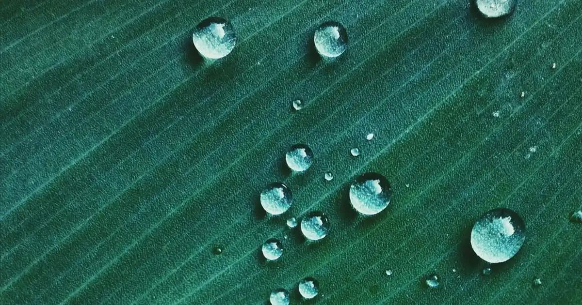 Roborock Qrevo Curv ve S8 MaxV Ultra: Güncel Robot Süpürge Modelleri ve Özellikleri