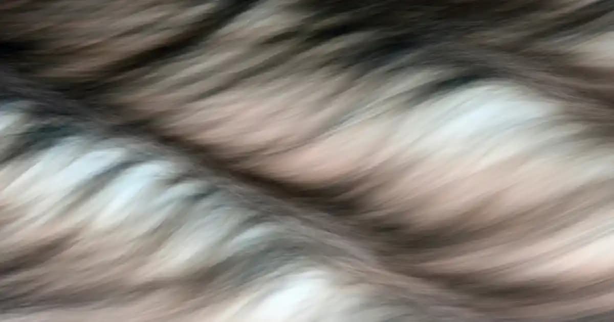 Robotik El Teknolojilerinde Güncel Gelişmeler ve Gelecek Perspektifleri