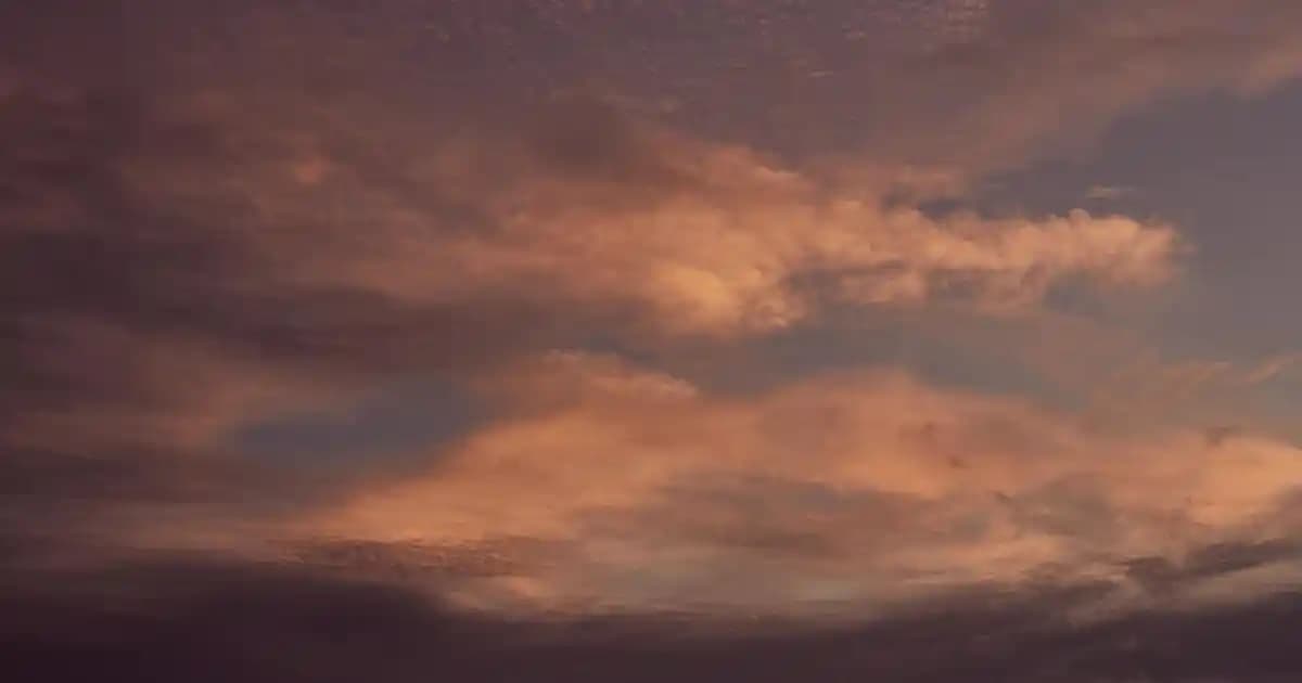 Samsung Galaxy A54 için Şık ve Koruyucu Kılıf Seçenekleri ve Tasarım Özellikleri