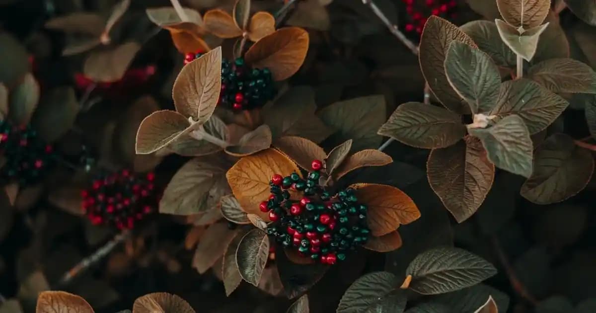 Samsung Galaxy S23 ve S26 Serileri: Yenilikler ve Pazar Performansı Analizi