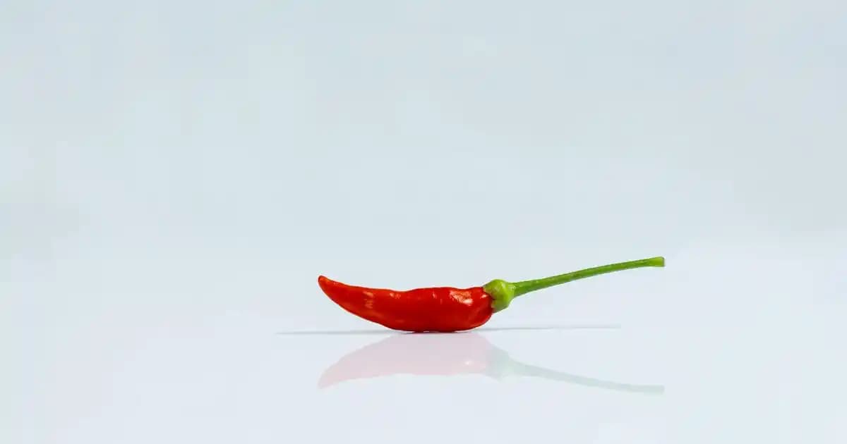 Samsung Galaxy Tab S9: Gelişmiş Ekran, Performans ve Güvenlik Özellikleriyle Yenilikçi Tablet