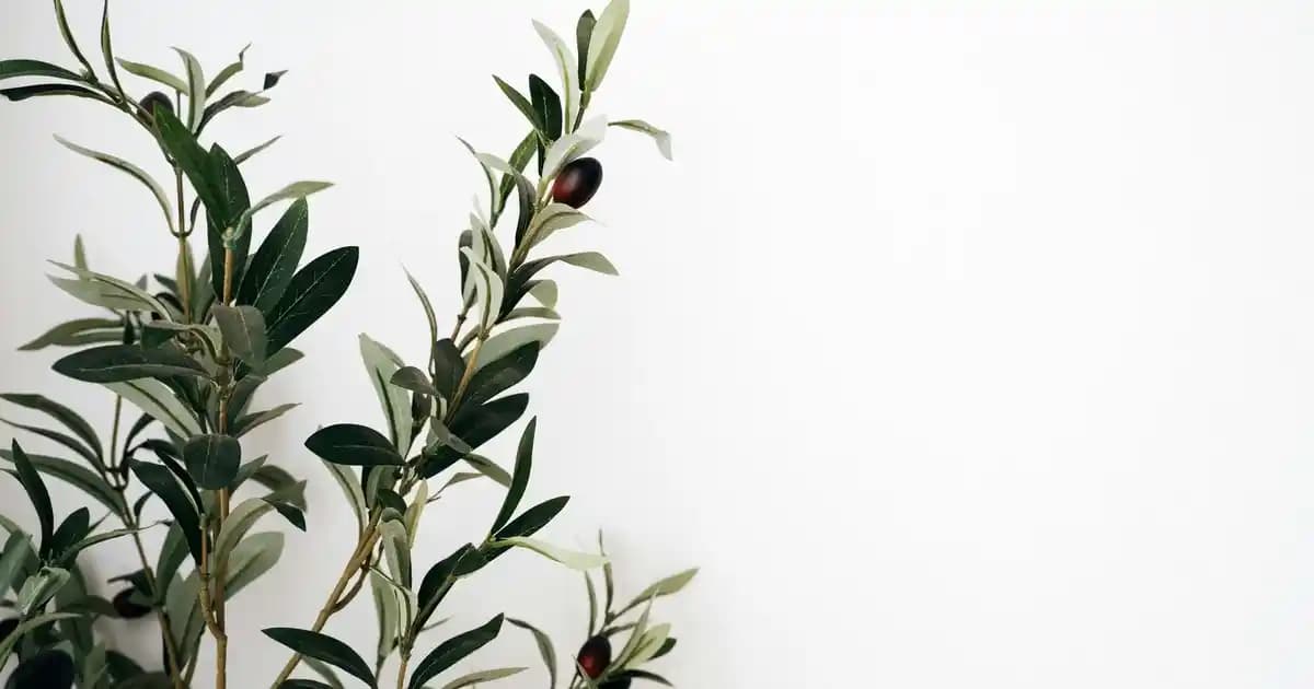 Samsung’un Yeni Güçlü Akıllı Telefon Modeli: Yüksek Performans ve Yeniliklerle Donatılmış