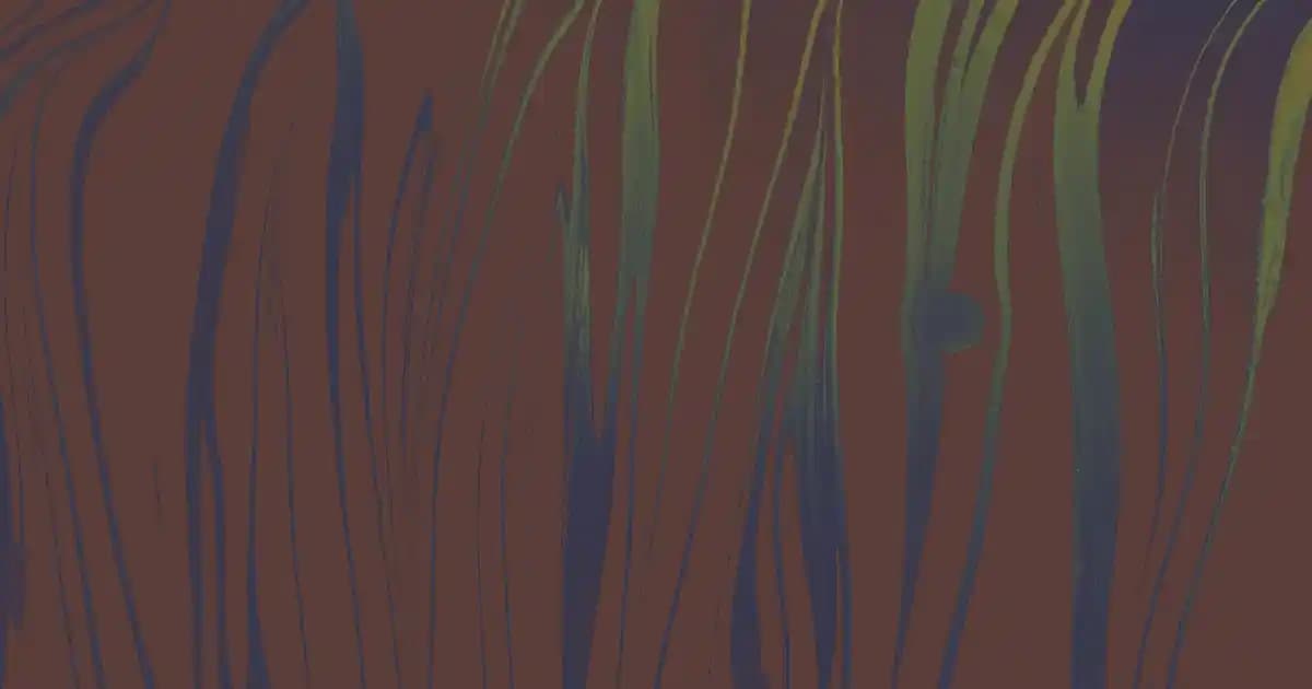 Şık ve Kullanışlı Telefon Askısı Seçenekleri ve Trendleri 2024