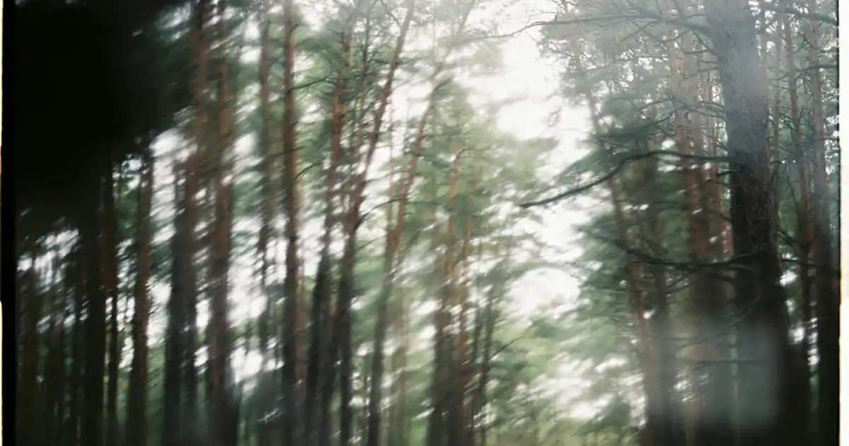 Snapdragon İşlemcili Telefonların Performans Analizi ve Güncel Karşılaştırmalar