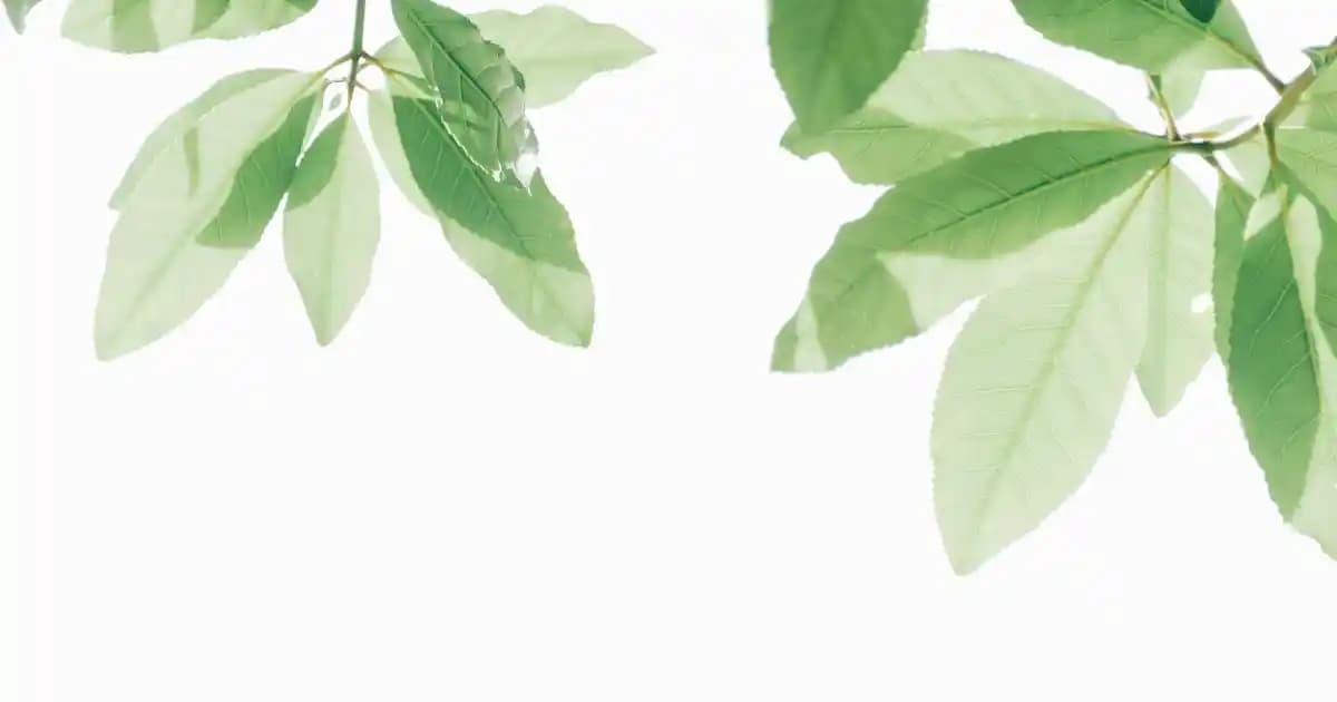 SteelSeries Dayanıklı Klavye Seçenekleri: Uzun Ömür ve Güçlü Tasarım Özellikleri