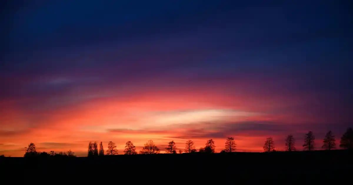 TCL Televizyon Teknolojileri ve Yenilikleri: Güncel Değerlendirme ve Kullanıcı Deneyimleri
