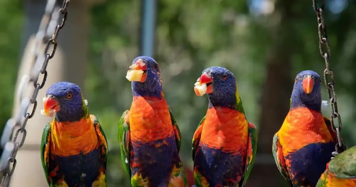 Tuf Gaming VG27AQML1A Yüksek Performanslı Oyun ve Profesyonel Kullanım Monitörü