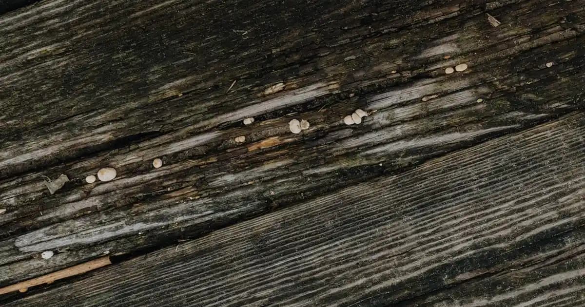 USB Bellek Seçiminde Dikkat Edilmesi Gereken Temel Kriterler ve Kullanım Alanları