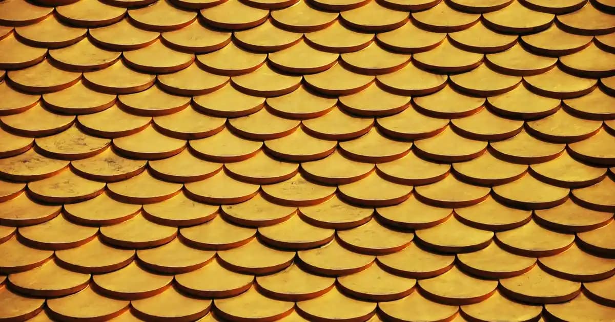 Uygun Fiyatlı ve Güçlü Kablosuz Ağ Cihazları: Seçim Rehberi ve Teknolojik Özellikler