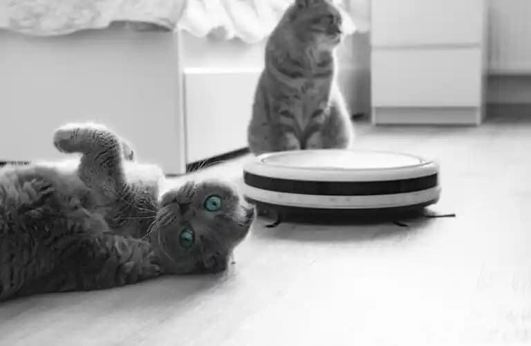 Evcil Hayvan Tüyüyle Mücadelede Robot Süpürgelerin Performansı ve Kullanım İpuçları