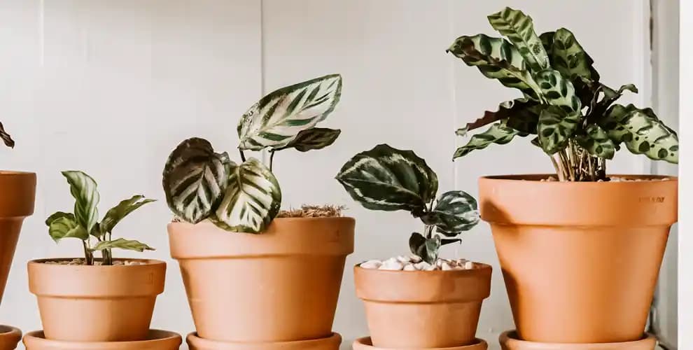 Evde Nem, Koku ve Hava Kalitesi Sorunları İçin Hava Temizleyici ve Nem Alma Cihazları Seçimi