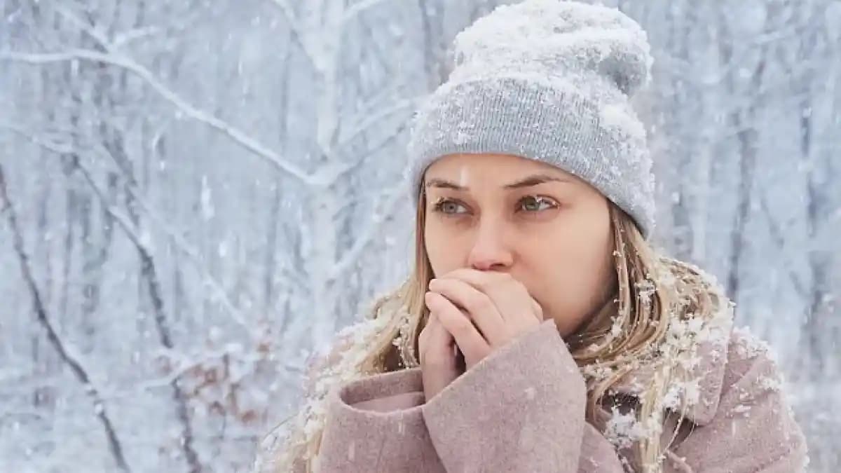 Levoit, AirCare, Venta, Honeywell ve Ultrasonik Nemlendiriciler Üzerine Kapsamlı Performans ve Kullanım İncelemesi