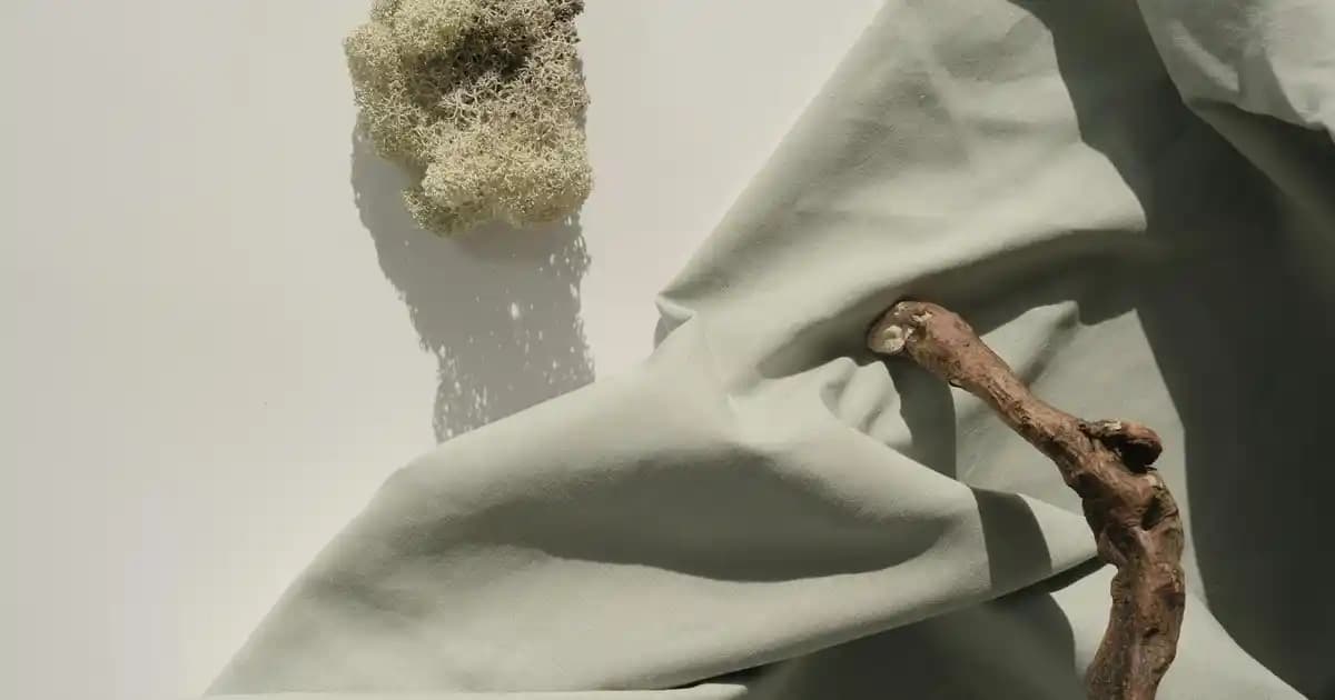 Samsung Buzdolapları ve Beyaz Eşya Garanti Politikalarının Detaylı İncelemesi