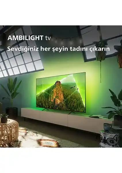Philips 43PUS8108 ve 55PUS8009 Karşılaştırması: Ekran Boyutu ve Özellikler