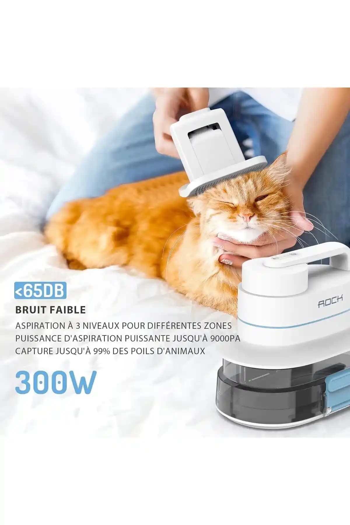 2200 Metrekare Sert Ahşap Zeminli Evler İçin Miele ve SEBO Elektrikli Süpürge Karşılaştırması