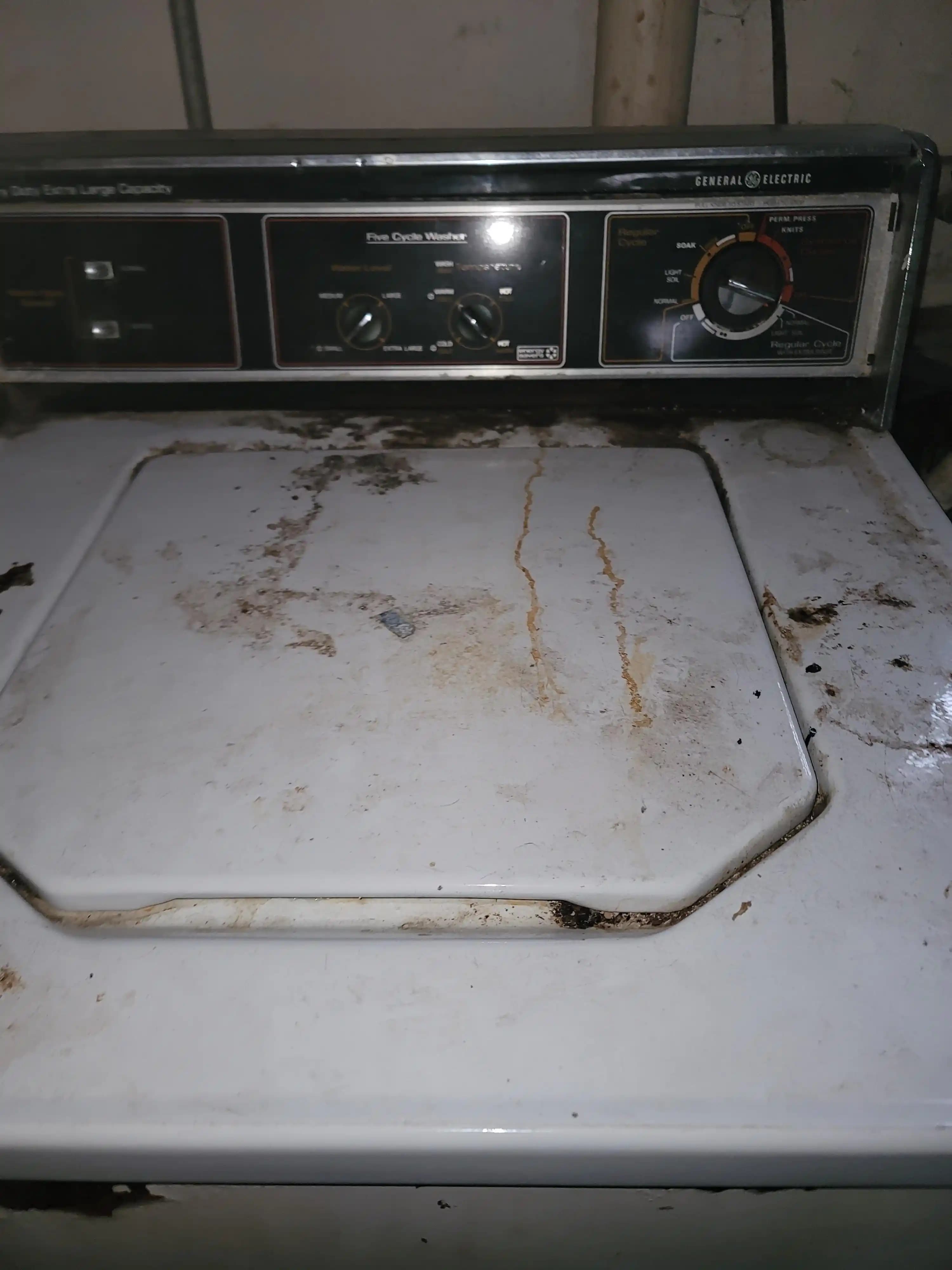 45 Yıllık Çamaşır Makinesi: Dayanıklılık, Bakım ve Onarım Rehberi