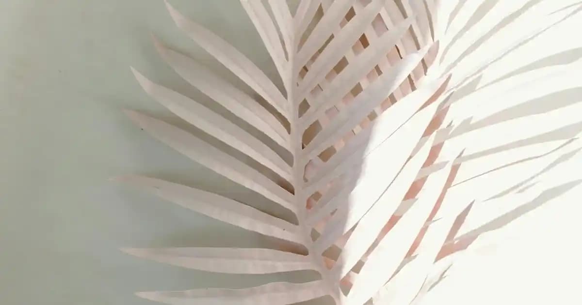 Robot Süpürge Seçiminde Önemli Kriterler ve MOVA P10 Pro Ultra Modeli İncelemesi